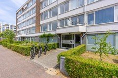 F07 0707STM Auriollaan22.jpg